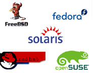 Webmaster Romania Webmaster Romania